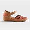 CORAL MULTI